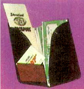 passport closeup